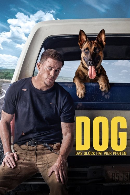 Filmposter: DOG – DAS GLÜCK HAT VIER PFOTEN