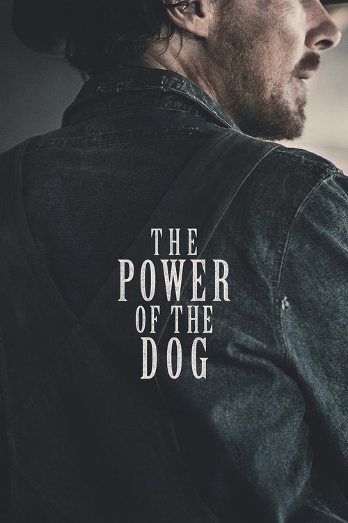 Filmposter: THE POWER OF THE DOG
