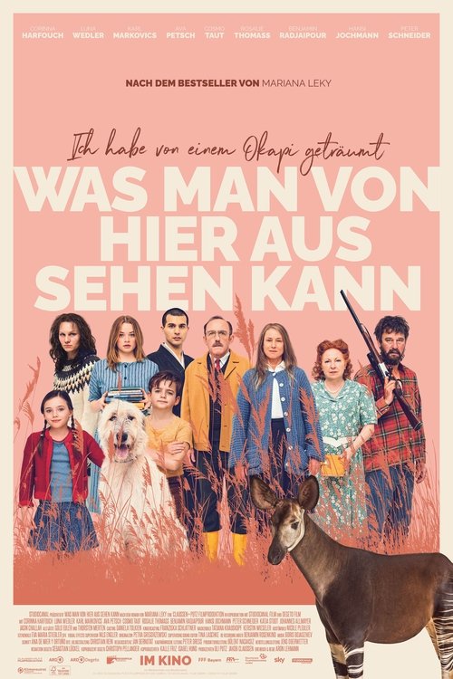Filmposter: WAS MAN VON HIER AUS SEHEN KANN